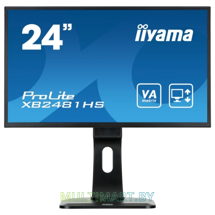 Монитор Iiyama ProLite XB2481HS-B1